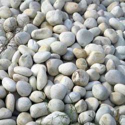 White Natural Pabbles White Natural Pabbles
